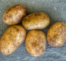 four potatoes sitting on a towel on the ground