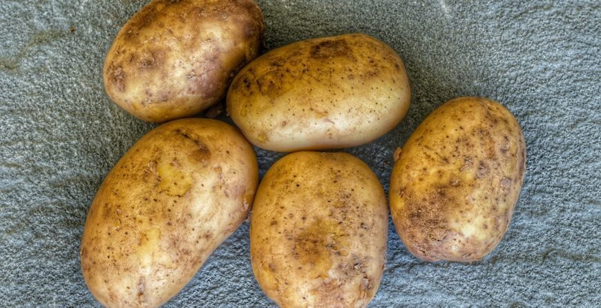 four potatoes sitting on a towel on the ground